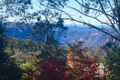 Property photo of 14 Days Crescent Blackheath NSW 2785