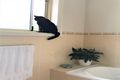 Property photo of 1/46 Central Road Unanderra NSW 2526