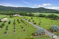 Property photo of 2 Lavers Road Lower Daintree QLD 4873