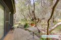 Property photo of 19 Bruce Road Silverleaves VIC 3922