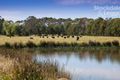 Property photo of 160 Treadwells Road Poowong North VIC 3988