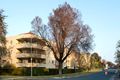 Property photo of 89/5 Empire Circuit Forrest ACT 2603