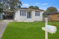 Property photo of 26 Patterson Road Lalor Park NSW 2147