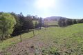 Property photo of 1245 Sandy Creek Road McCullys Gap NSW 2333