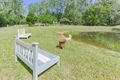 Property photo of 785 Ringtail Creek Road Pomona QLD 4568