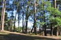 Property photo of 18 Atkinson Road Mount Elliot NSW 2250