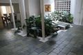 Property photo of 16 Banyan Close Mount Sheridan QLD 4868