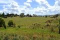 Property photo of 4646 Mitchell Highway Lucknow NSW 2800