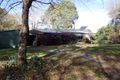 Property photo of 382 Shephards Road Bielsdown Hills NSW 2453