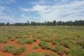 Property photo of 206 Albert Park Road Charleville QLD 4470
