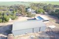 Property photo of 684 Sturt Pea Road Brinkworth SA 5464