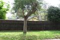 Property photo of 22 Wahroonga Avenue Wahroonga NSW 2076