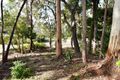 Property photo of 1 Mango Lane Boreen Point QLD 4565