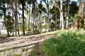 Property photo of 1 Mango Lane Boreen Point QLD 4565