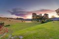Property photo of 17 Roberts Court Sandy Creek QLD 4515