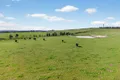 Property photo of Denison Road Denison VIC 3858