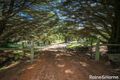 Property photo of 168 Benson Road Gisborne South VIC 3437