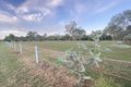 Property photo of 60 Bowden Road Black River QLD 4818