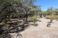 Property photo of 30 Carter Street Charleville QLD 4470