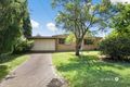 Property photo of 3 Krambruk Street Sunnybank QLD 4109