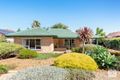 Property photo of 59 Suzanne Avenue Morphett Vale SA 5162