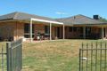 Property photo of 12 The Fell Thurgoona NSW 2640