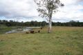 Property photo of 76 Pope Road Mothar Mountain QLD 4570