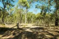 Property photo of 1904 Lowmead Road Colosseum QLD 4677