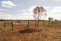 Property photo of 72 Powell Road Numurkah VIC 3636
