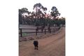 Property photo of 11 Ridgetop Trail Bullsbrook WA 6084