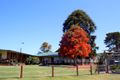 Property photo of 77 Grandview Road Newmerella VIC 3886
