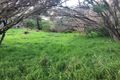 Property photo of 1 Douglas Court Rye VIC 3941