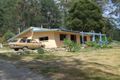 Property photo of 27321 Tasman Highway Goulds Country TAS 7216