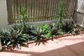 Property photo of 4/181 Mitchell Street North Ward QLD 4810