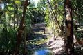 Property photo of 104-112 South Arm Drive Wonga Beach QLD 4873