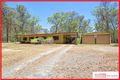 Property photo of 290 Powell Road Wamuran QLD 4512