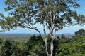 Property photo of 399 Sunrise Road Tinbeerwah QLD 4563