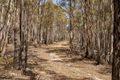 Property photo of LOT 1 Phipps Road Runnymede TAS 7190