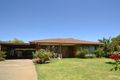 Property photo of 6 Walgett Court Echuca VIC 3564