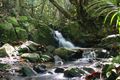 Property photo of 99 Main Camp Road Eerwah Vale QLD 4562