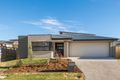 Property photo of 47 Lady Musgrave Drive Springfield Lakes QLD 4300