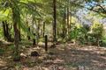 Property photo of 24 Canyon Parade Springbrook QLD 4213