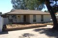 Property photo of 14 Bahnisch Avenue Berri SA 5343