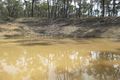 Property photo of 117 Native Gully Crescent Eppalock VIC 3551