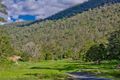 Property photo of 33 Masseys Creek Court Cedar Creek QLD 4520
