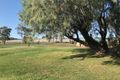 Property photo of 4579 Oxley Highway Somerton NSW 2340
