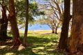 Property photo of 15/113 Patsys Flat Road Smiths Lake NSW 2428