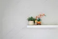 Property photo of 54 Anzac Road Trafalgar VIC 3824