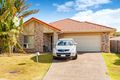 Property photo of 19 Goldcrest Drive Upper Coomera QLD 4209