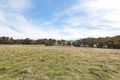 Property photo of 125 Rogerson Lane Binalong NSW 2584
